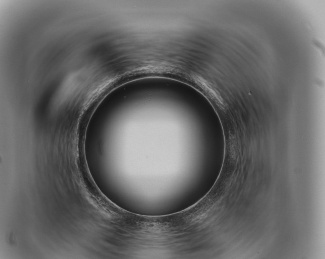 X0000094920486200711291316