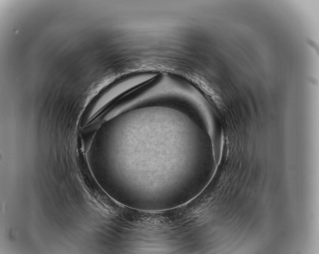 X0000094920488200711291316