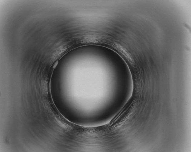 X0000094920489200711291316