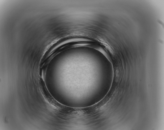 X0000094920492200711291316