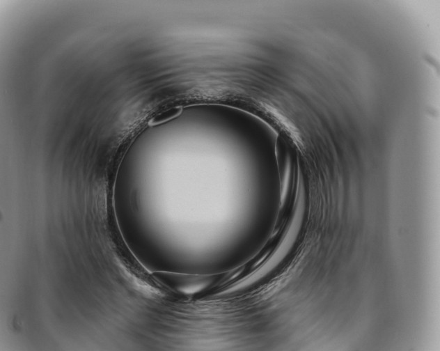 X0000094920493200711291316