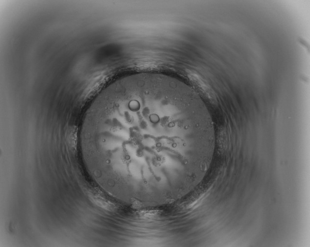 X0000094920495200711291315