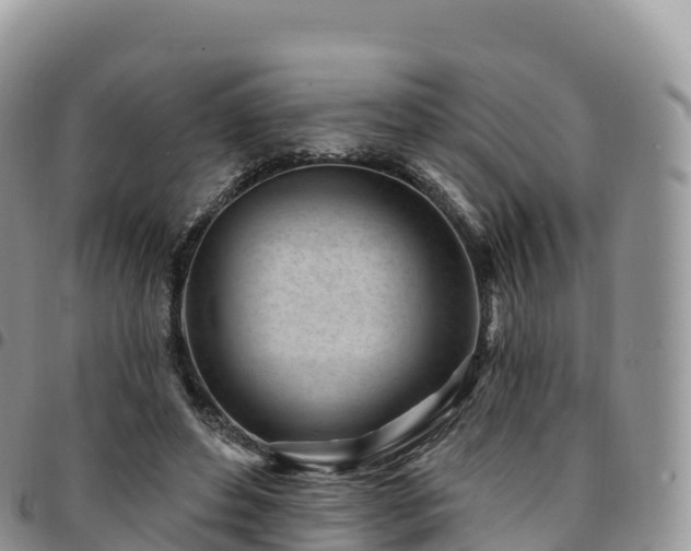 X0000094920496200711291315