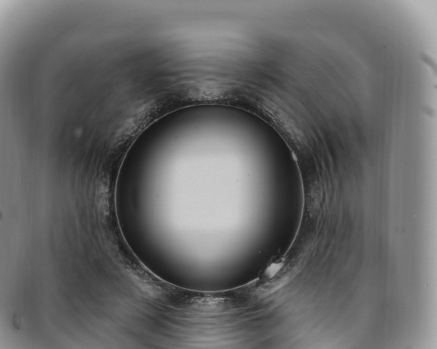 X0000094920497200711291315