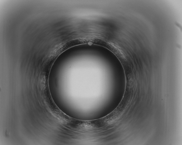 X0000094920498200711291315