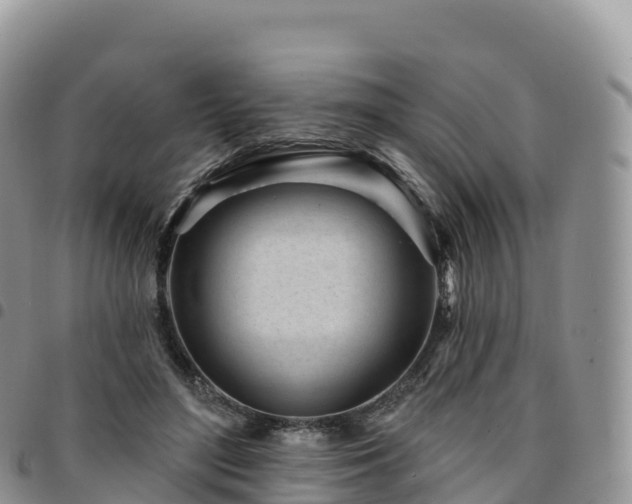 X0000094920500200711291315