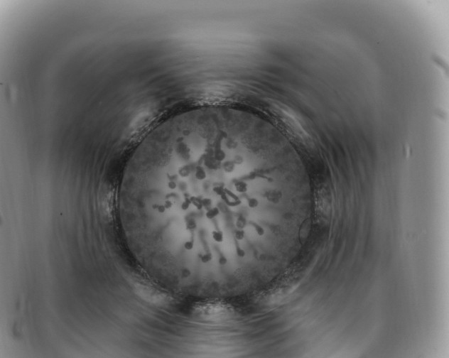 X0000094920503200711291315