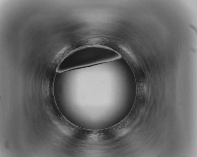 X0000094920504200711291315