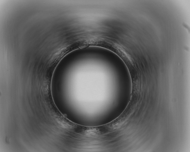 X0000094920505200711291315