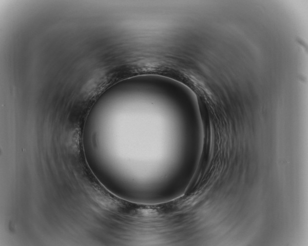 X0000094920509200711291315