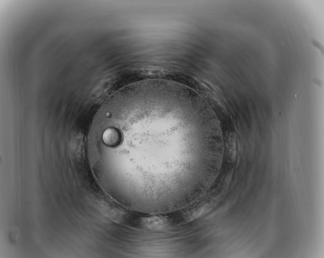 X0000094920511200711291315