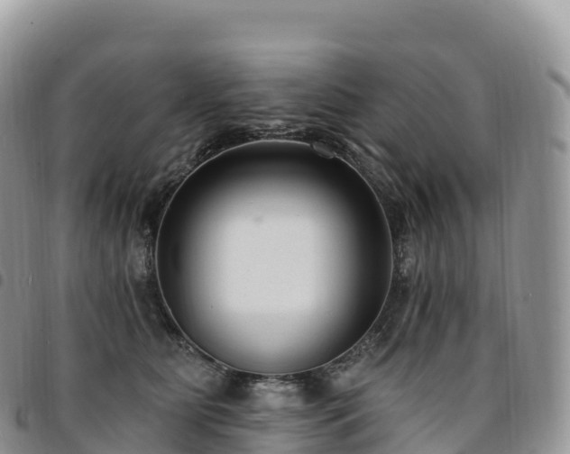 X0000094920515200711291315