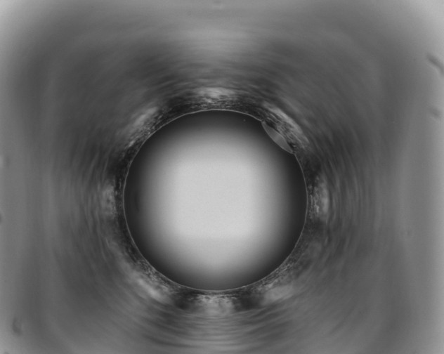 X0000094920520200711291315