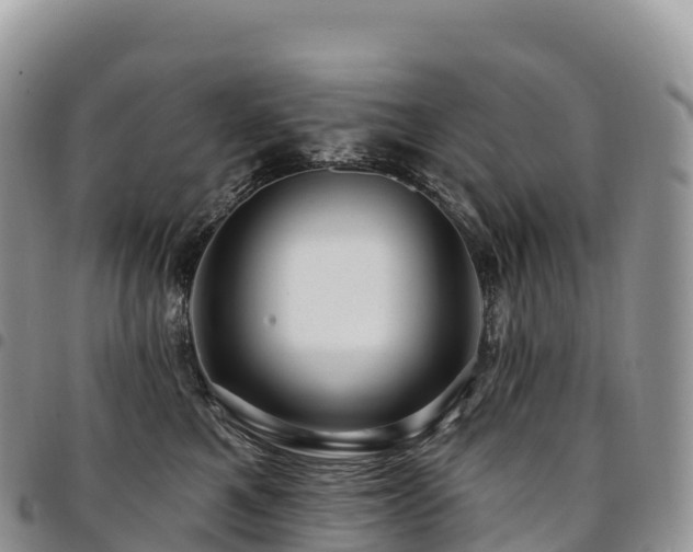 X0000094920521200711291315