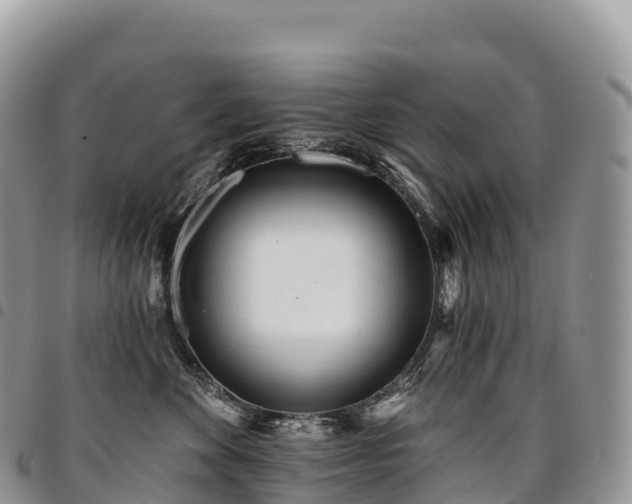 X0000094920524200711291315