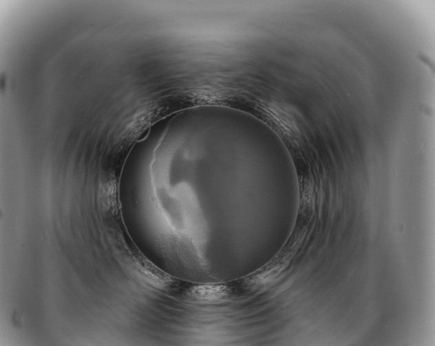 X0000094920526200711291315
