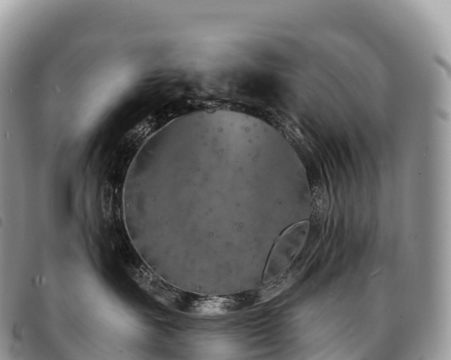 X0000094920527200711291315
