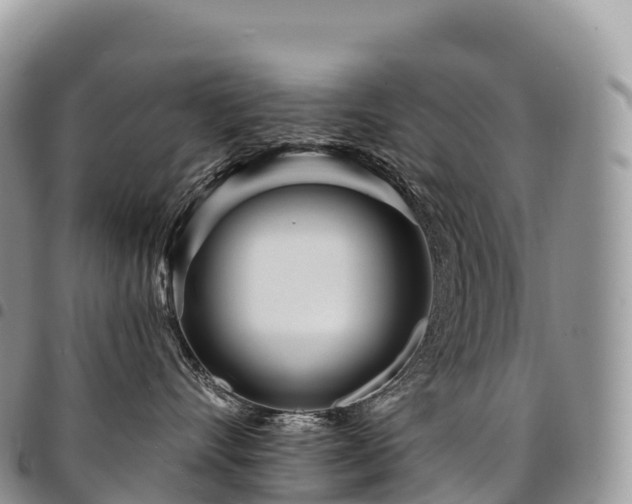 X0000094920528200711291315