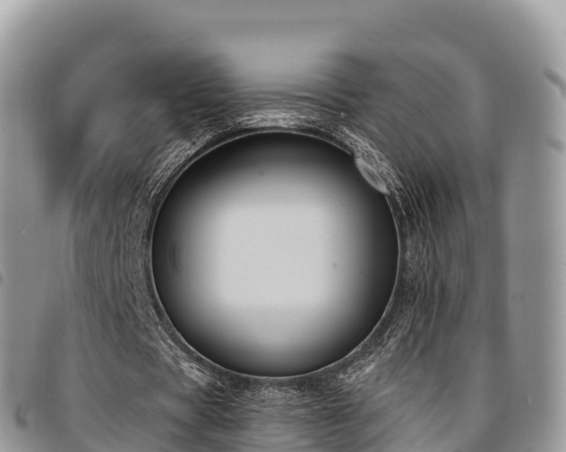 X0000094920529200711291314