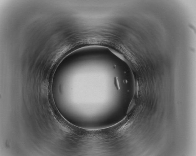 X0000094920530200711291314