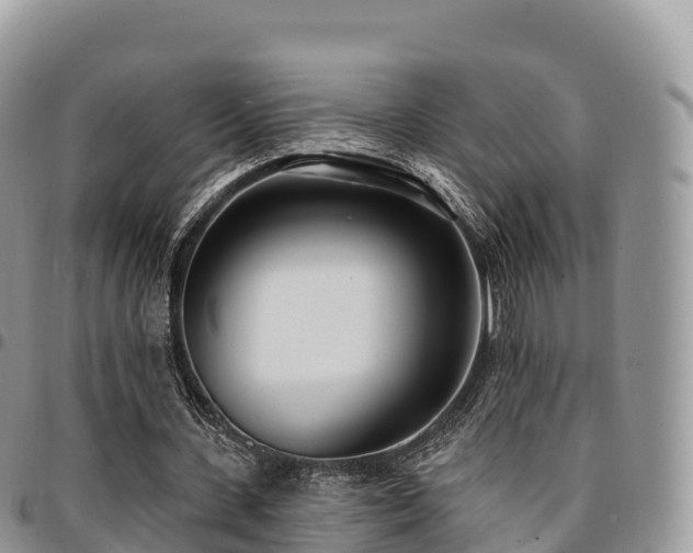 X0000094920531200711291314