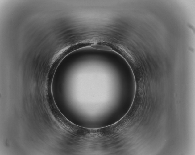 X0000094920536200711291314