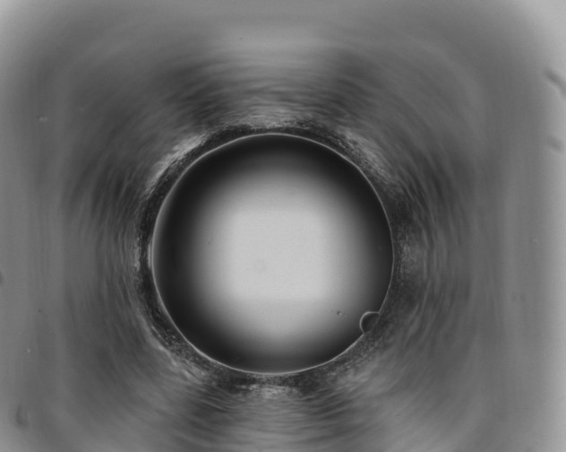 X0000094920539200711291314