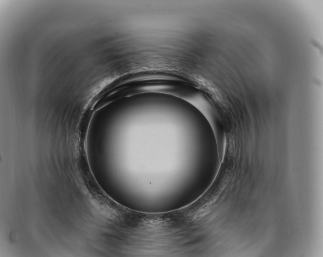 X0000094920540200711291314