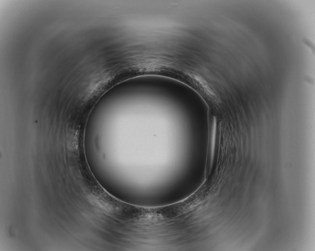 X0000094920543200711291314
