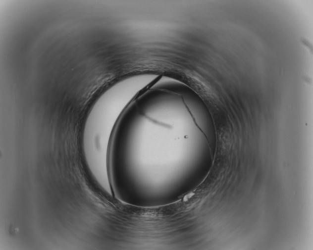 X0000094920546200711291314