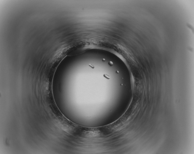 X0000094920548200711291314