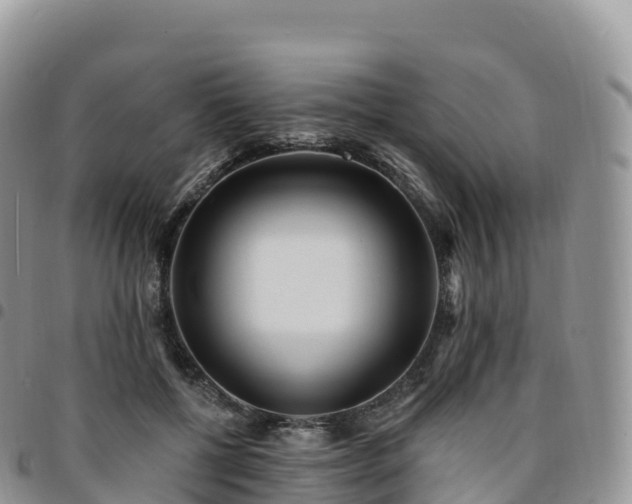 X0000094920552200711291315