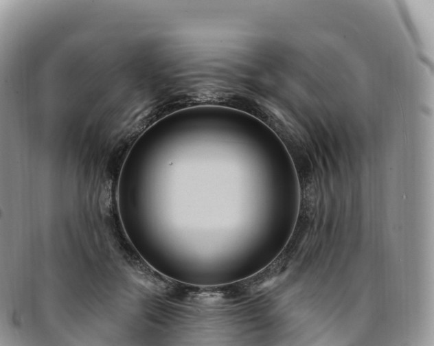 X0000094920554200711291315