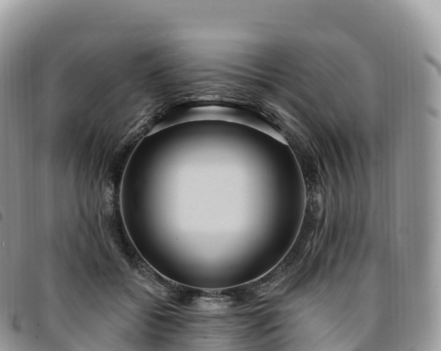 X0000094920556200711291315