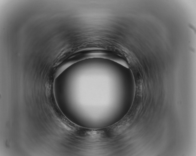 X0000094920558200711291315