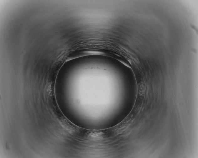 X0000094920560200711291315