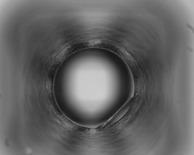 X0000094920565200711291315