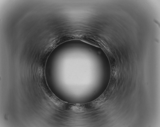 X0000094920568200711291315