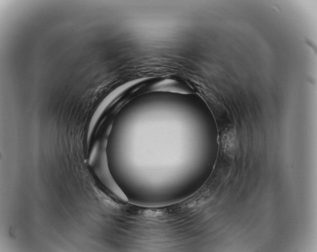 X0000094920570200711291315