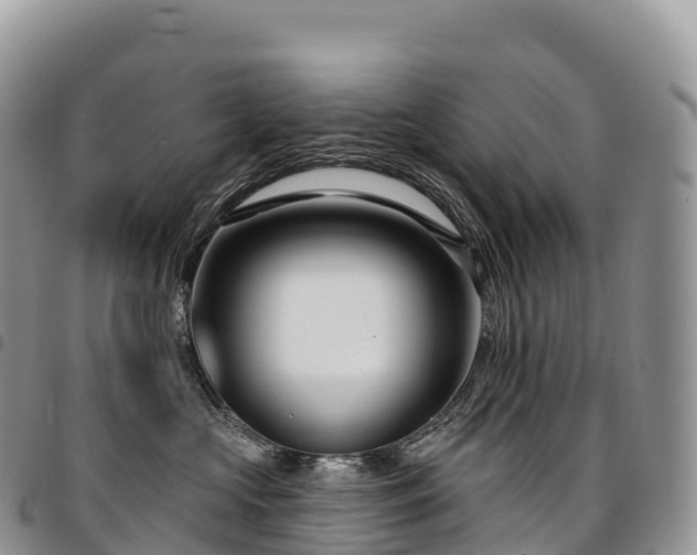 X0000094920573200711291315