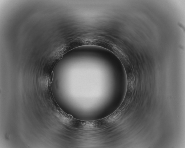 X0000094920574200711291315