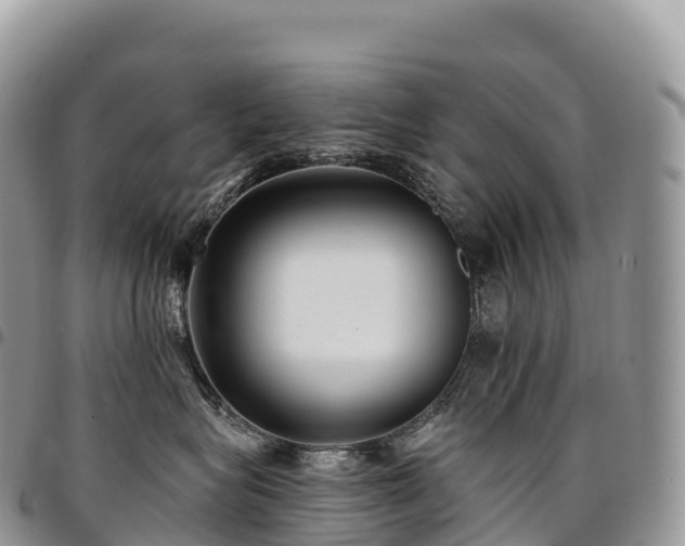 X0000094920575200711291315