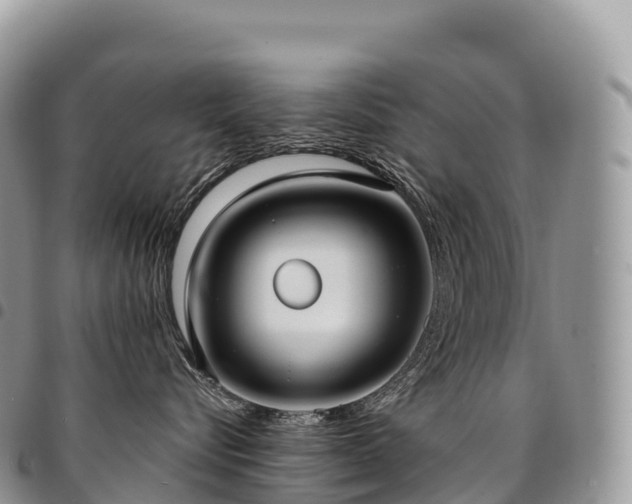 X0000094920576200711291315