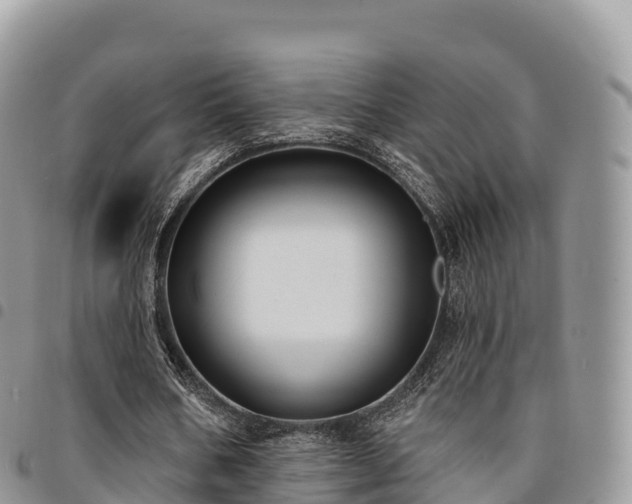 X0000094920578200711291314
