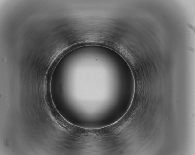 X0000094920580200711291314