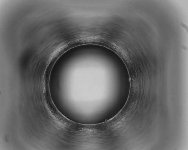 X0000094920582200711291314