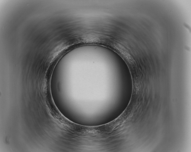 X0000094920583200711291314