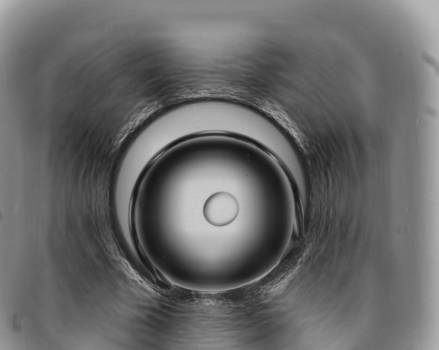 X0000094920585200711291314
