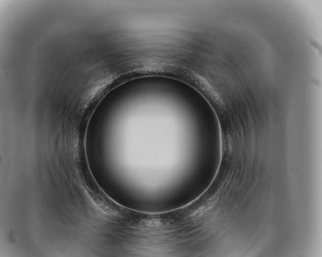 X0000094920588200711291314