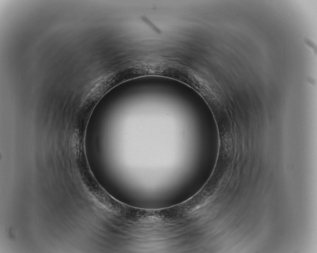 X0000094920594200711291314